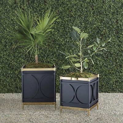 Angelina Planters