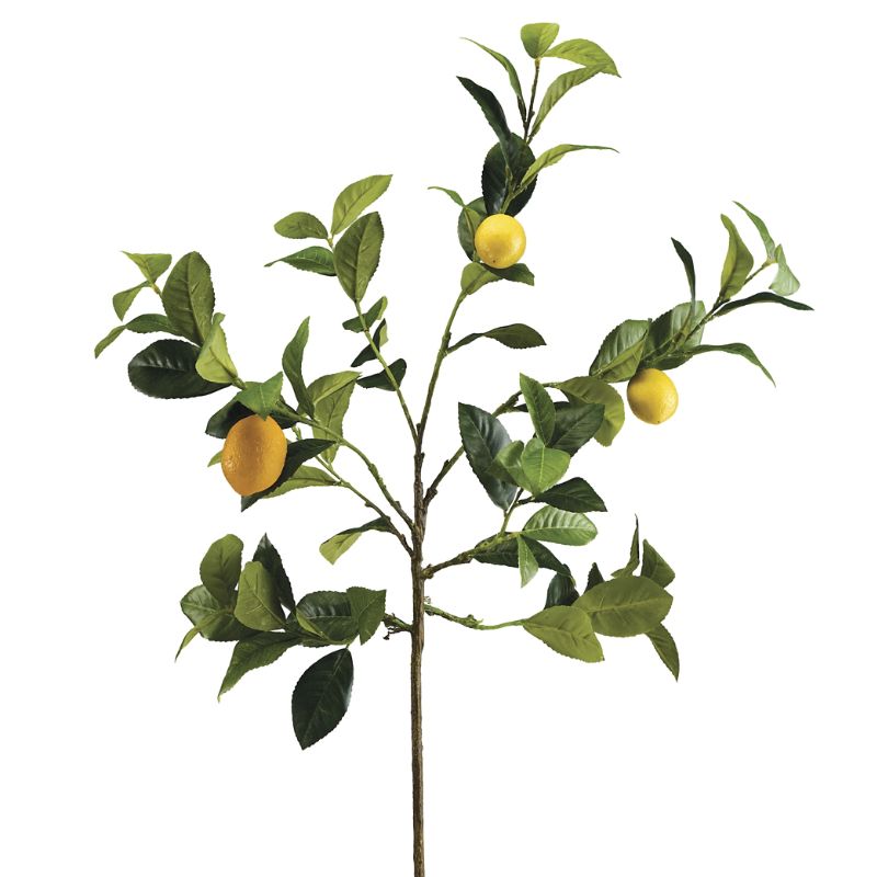 FRONTGATE HANGING LEMON BRANCHES, SET OF THREE 