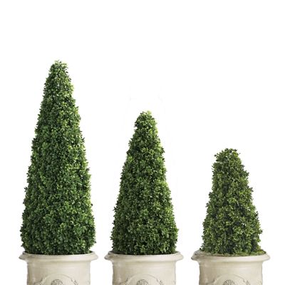 Indoor/Outdoor Boxwood Cones