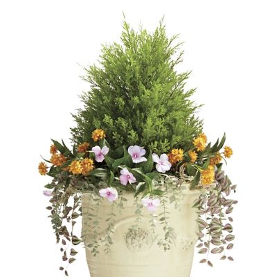 Indoor/Outdoor Cypress Floral Urn Filler