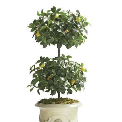 Indoor/Outdoor Double Ball Lemon Topiary