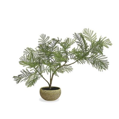 Indoor/Outdoor Tabletop Fern