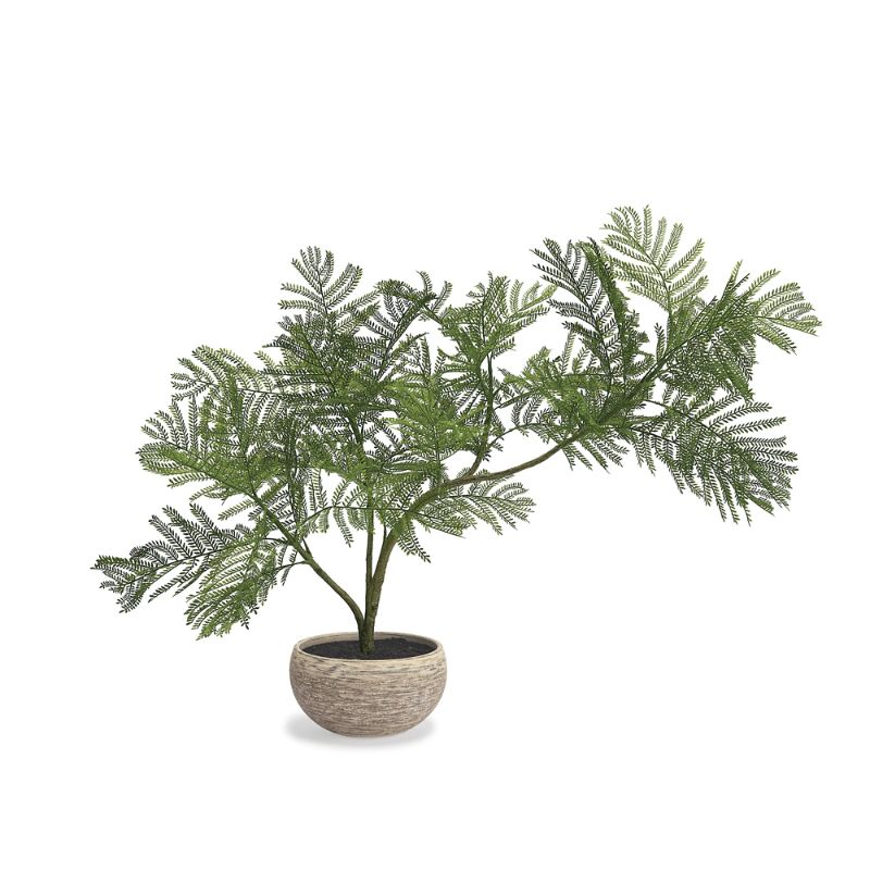 Frontgate Indoor/outdoor Tabletop Fern