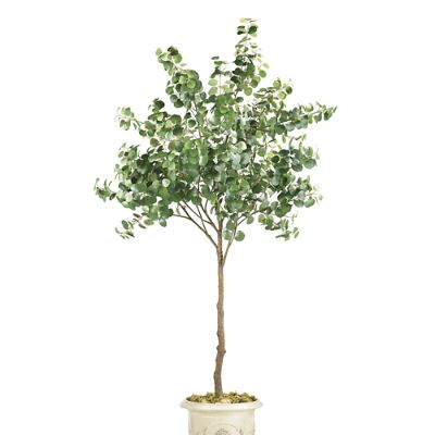 Indoor/Outdoor Silver Dollar Tree