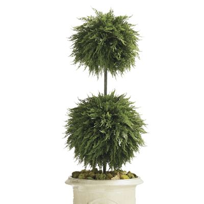 Indoor/Outdoor Cypress Double Ball Topiary