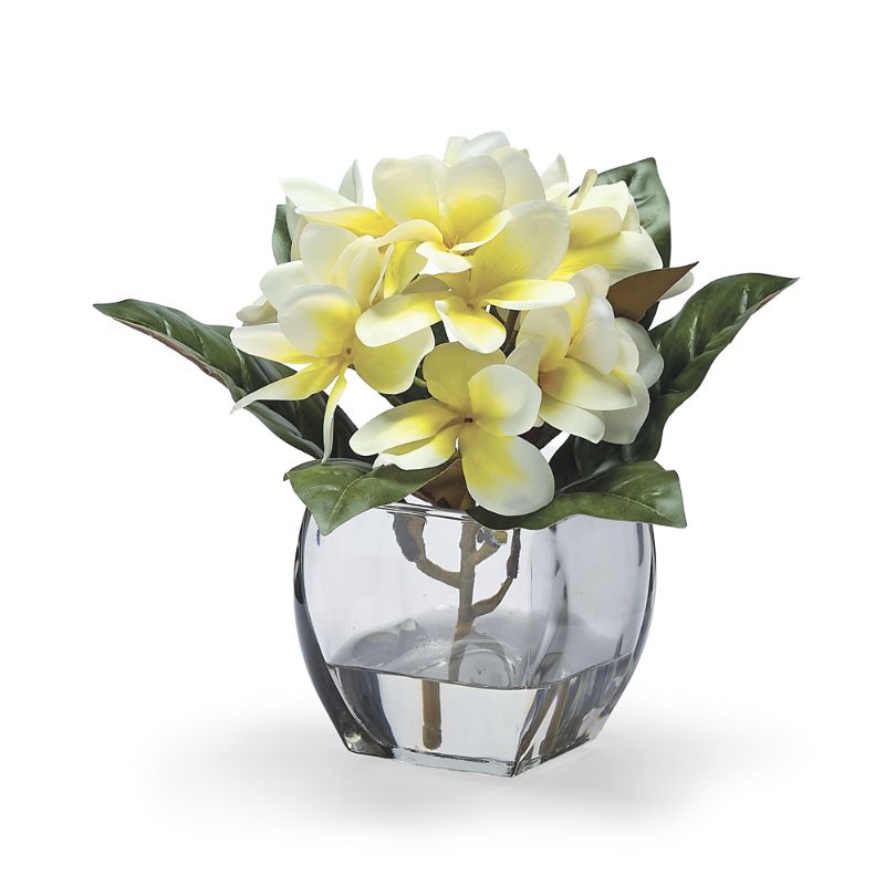 FRONTGATE FRANGIPANI IN GLASS CUBE 