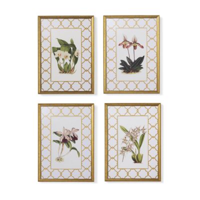 New York Botanical Garden Orchid Prints