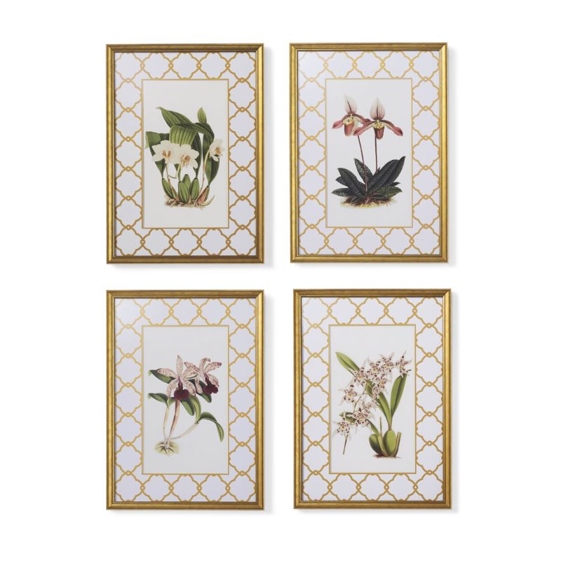Frontgate Set Of 4 New York Botanical Garden Orchid Prints
