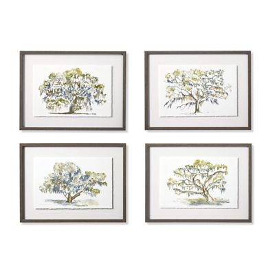 Spanish Moss Giclee Prints