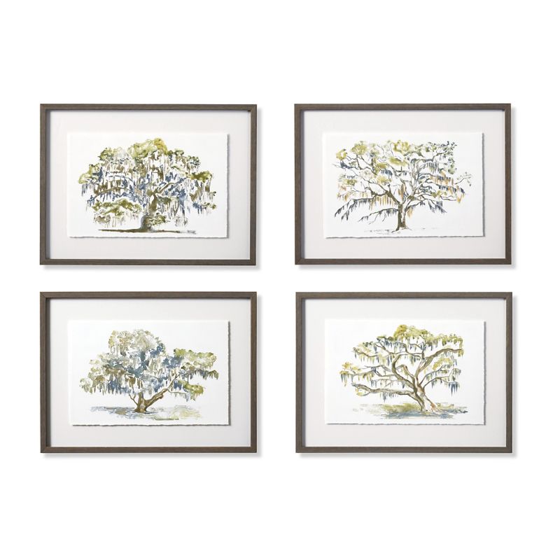 Frontgate Spanish Moss Giclee Prints