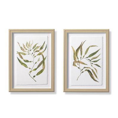 Sea Kelp Giclee Prints