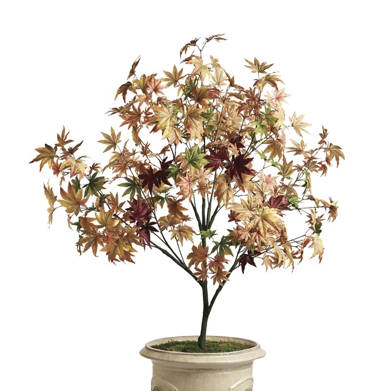 Frontgate Indoor/outdoor 5 Ft. Maple Tree In Multi