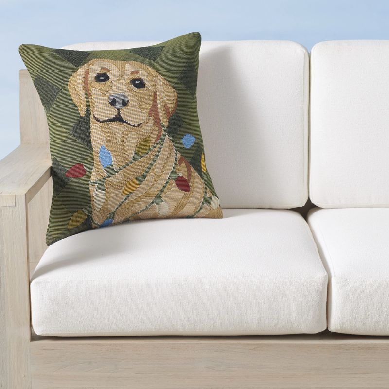 Frontgate Labs And Lights Indoor/outdoor Pillow