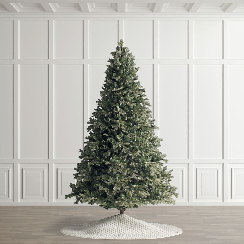 Frontgate Pacific Grand Fir Tree In Green