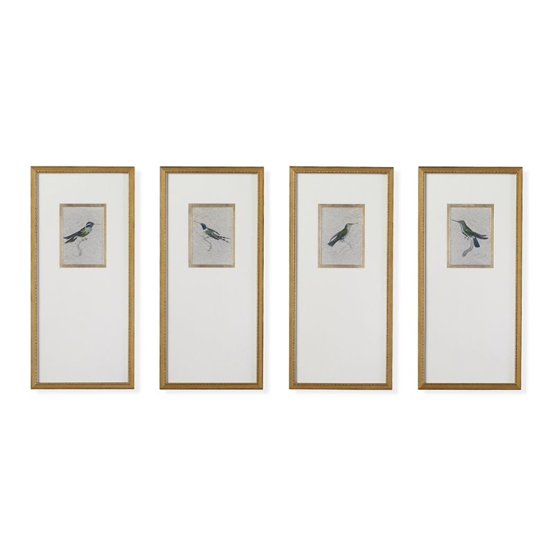 Frontgate Set Of 4 Antique Hummingbird Giclee Prints