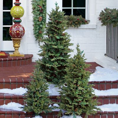 Hyde Park Pathway Trees Frontgate