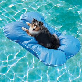 Dog Bone Pool Float