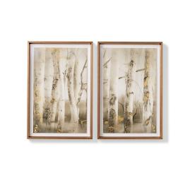 Mystic Birches Gicl&eacute;e Prints