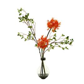 Orange Star Fire Alliums in Glass Vase