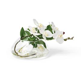 Orchid Glass Vessel Arrangement