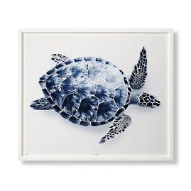 Indigo Turtle Gicl&eacute;e Print