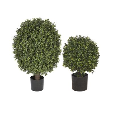 Single Ball Outdoor Boxwood Topiary