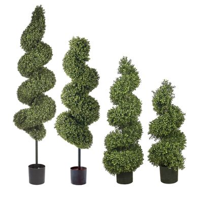 Spiral Outdoor Boxwood Topiary