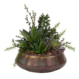 Aloe and Jade Plant in Aged Bowl