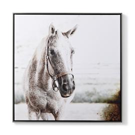 Majestic Yearling Gicl&eacute;e Print